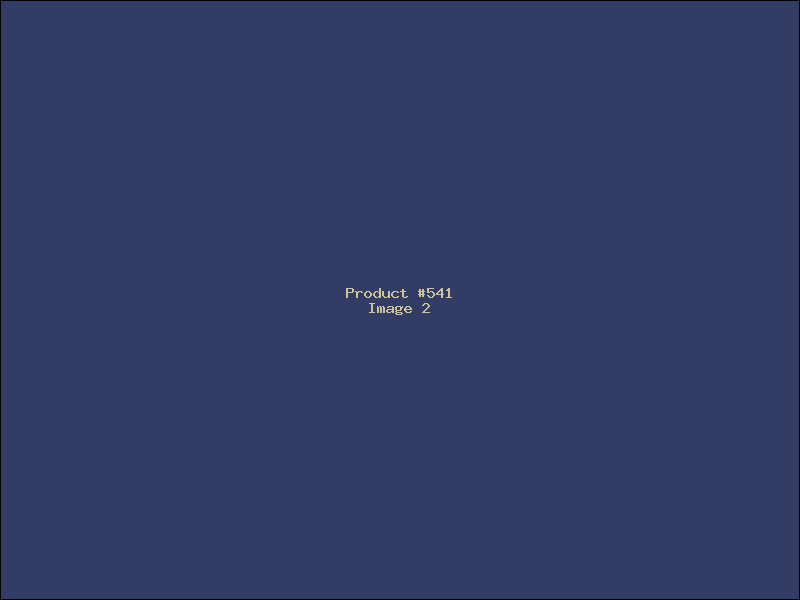 Example Product 541 - Image 2