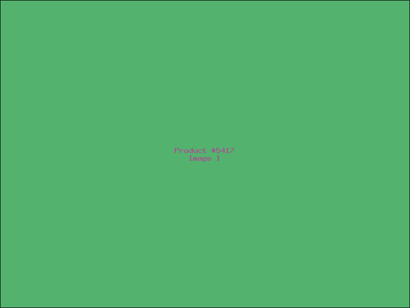 Example Product 5417