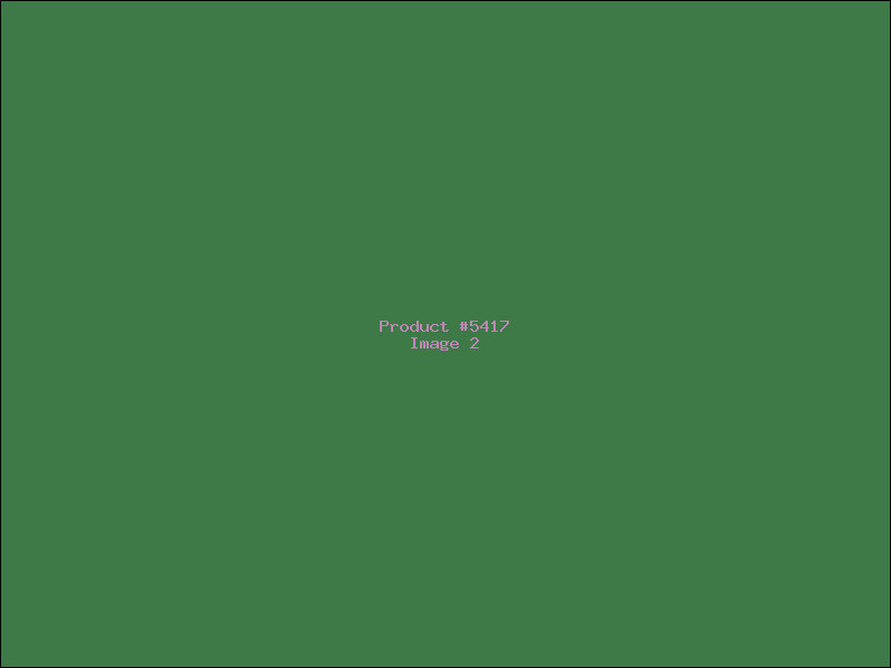 Example Product 5417 - Image 2