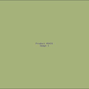 Example Product 5431