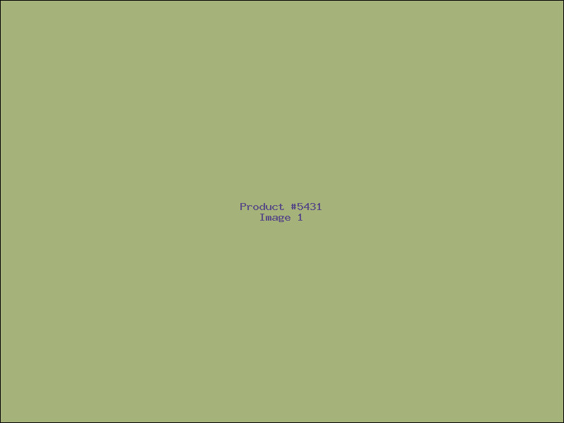 Example Product 5431