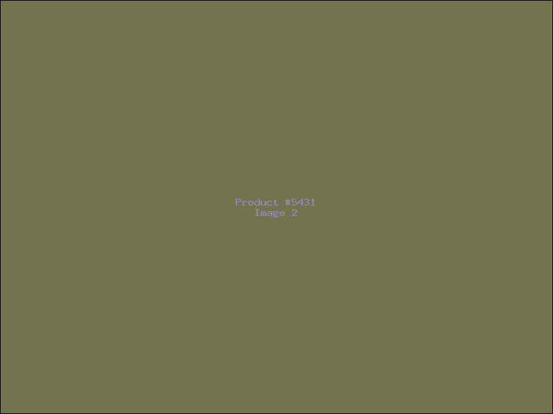 Example Product 5431 - Image 2