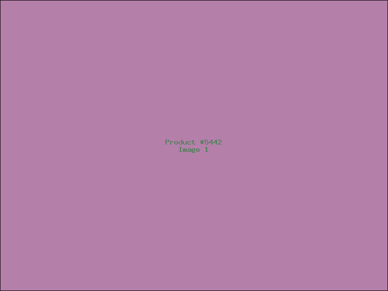 Example Product 5442