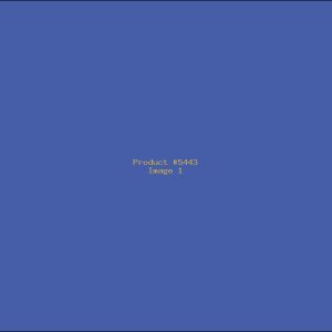 Example Product 5443