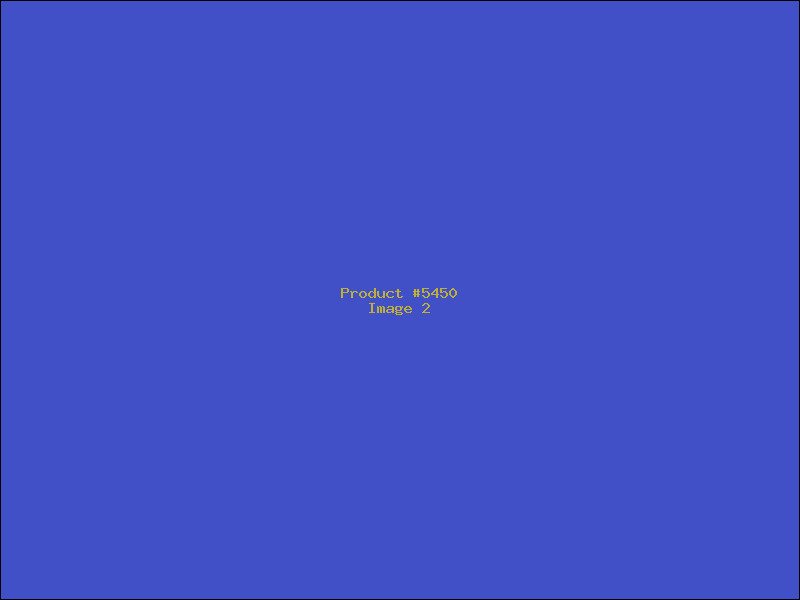 Example Product 5450 - Image 2