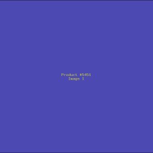 Example Product 5451