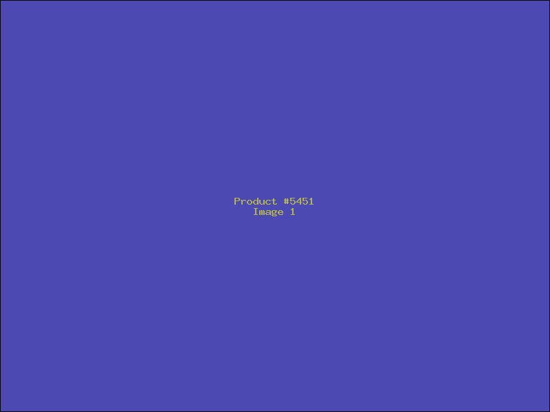 Example Product 5451