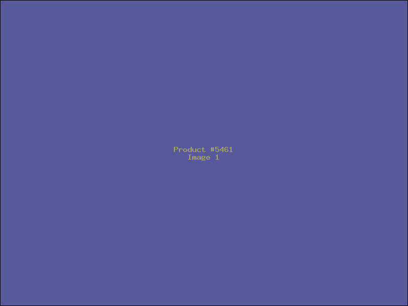 Example Product 5461