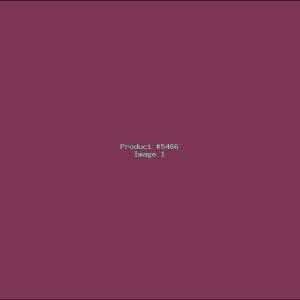 Example Product 5466