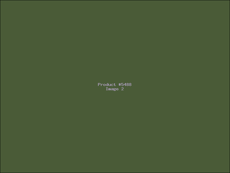 Example Product 5488 - Image 2