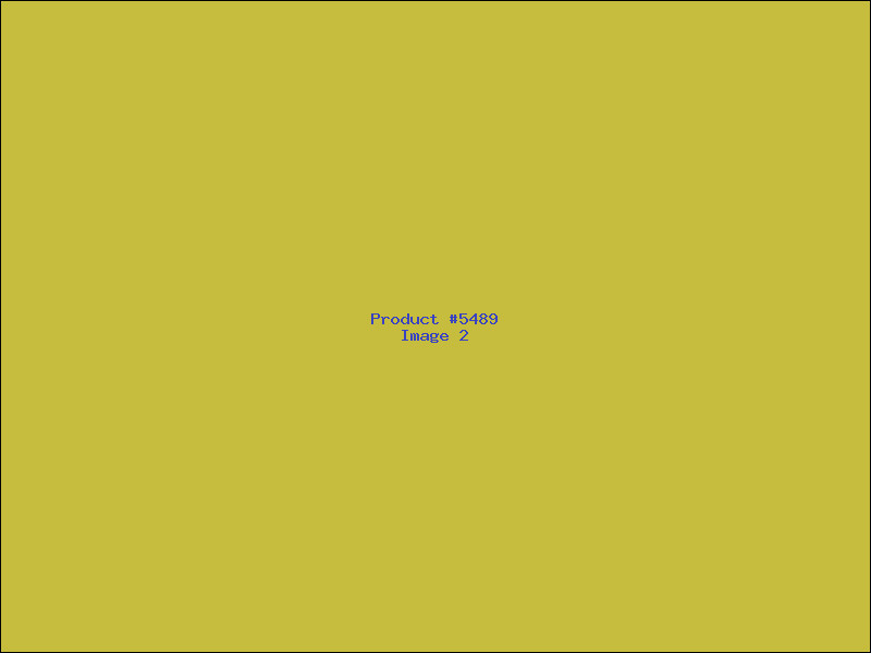 Example Product 5489 - Image 2