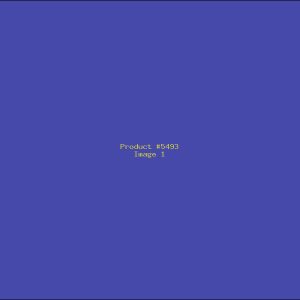 Example Product 5493