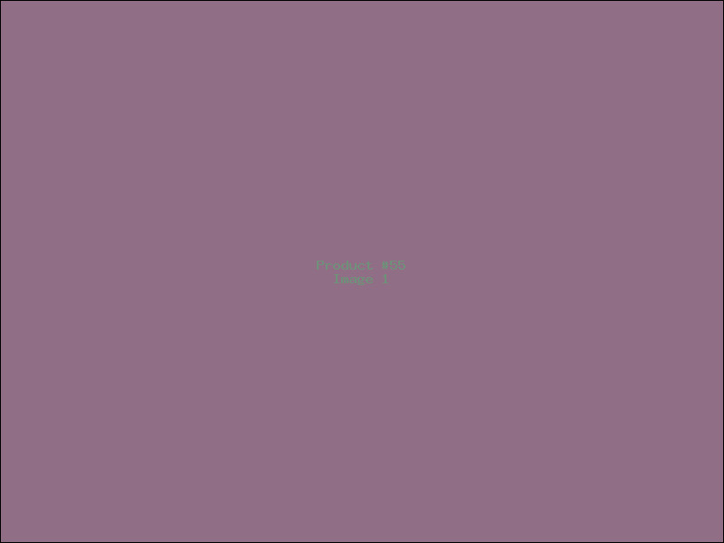 Example Product 55