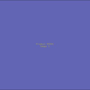 Example Product 5501