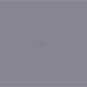 Example Product 5505