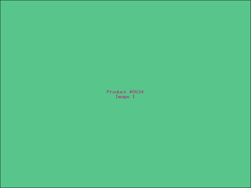 Example Product 5534
