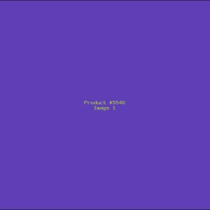 Example Product 5540