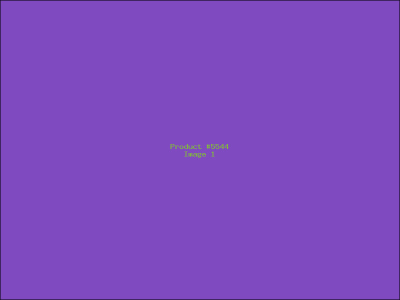Example Product 5544