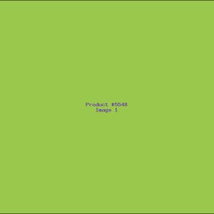 Example Product 5548