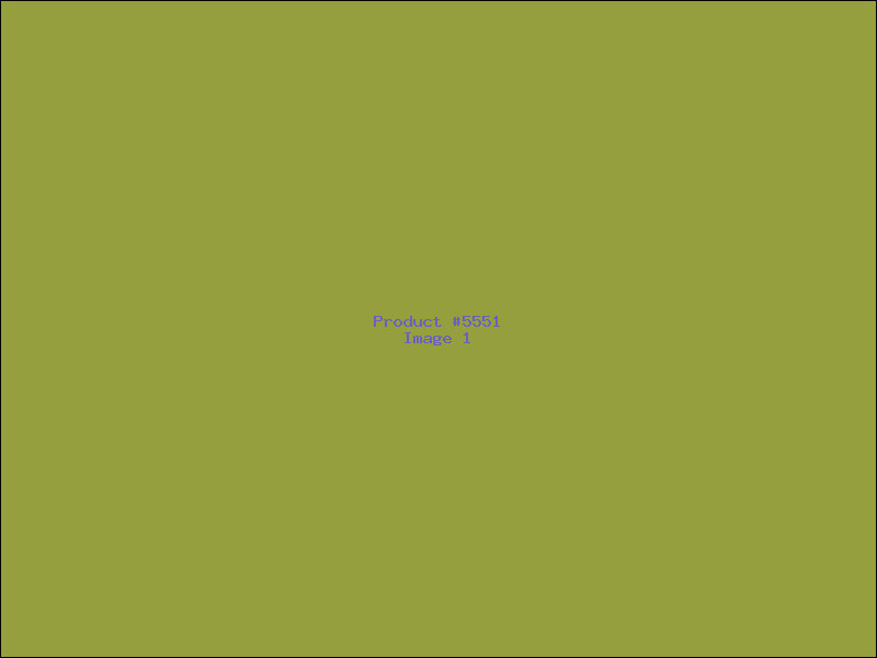 Example Product 5551