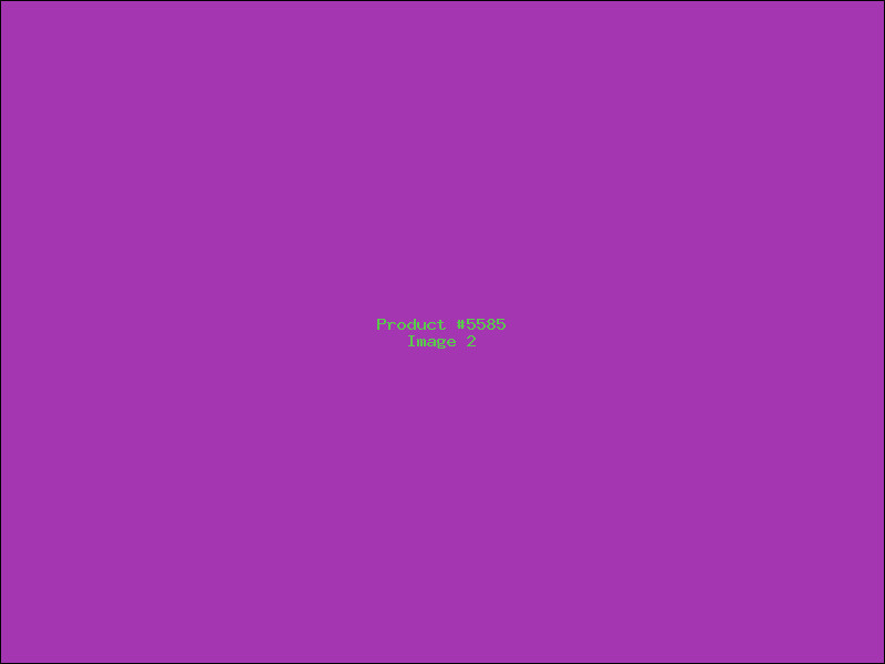 Example Product 5585 - Image 2