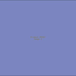Example Product 5597