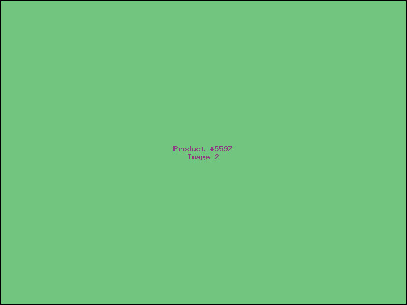 Example Product 5597 - Image 2