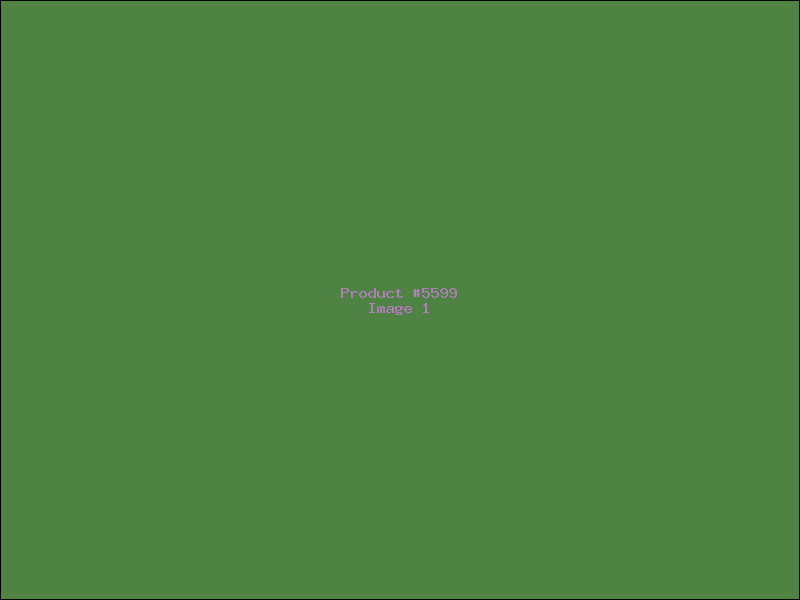Example Product 5599