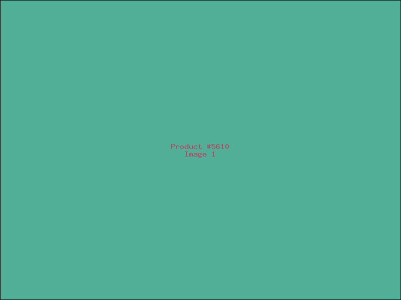 Example Product 5610