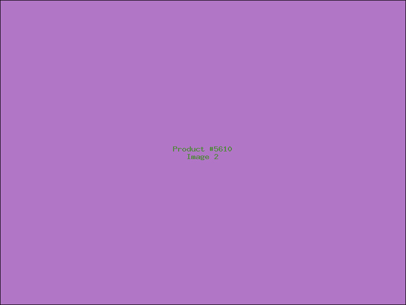 Example Product 5610 - Image 2