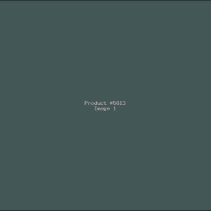 Example Product 5613