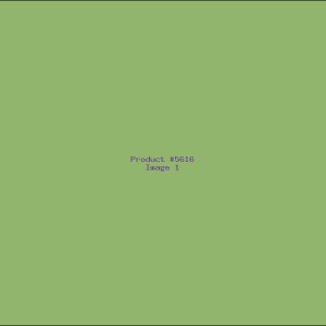 Example Product 5616