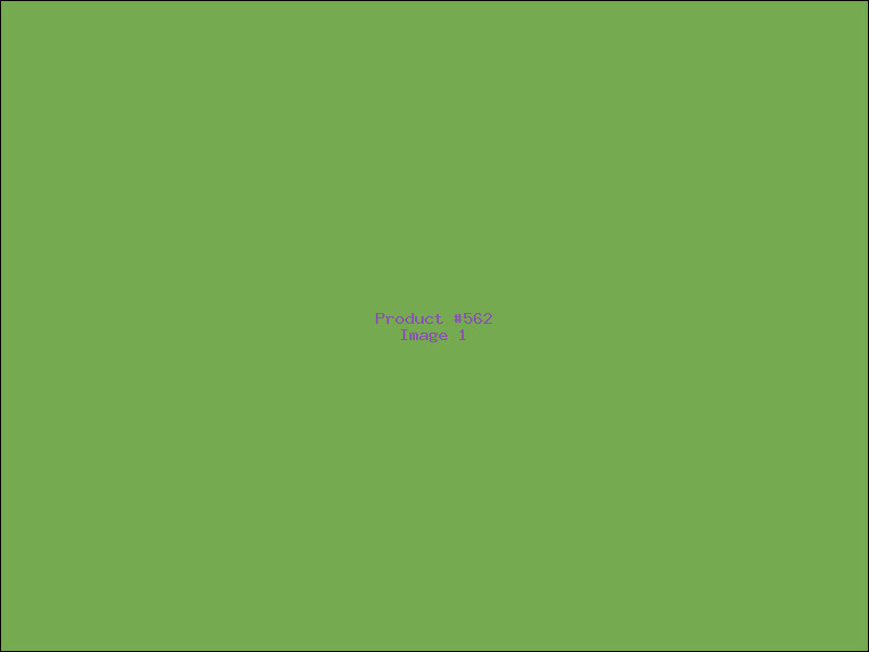 Example Product 562