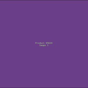 Example Product 5620