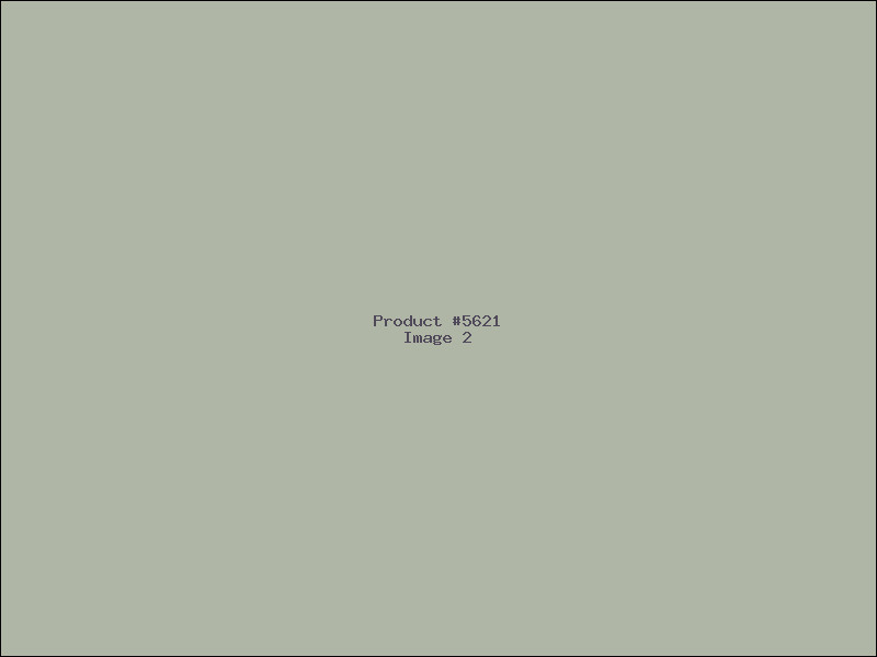 Example Product 5621 - Image 2