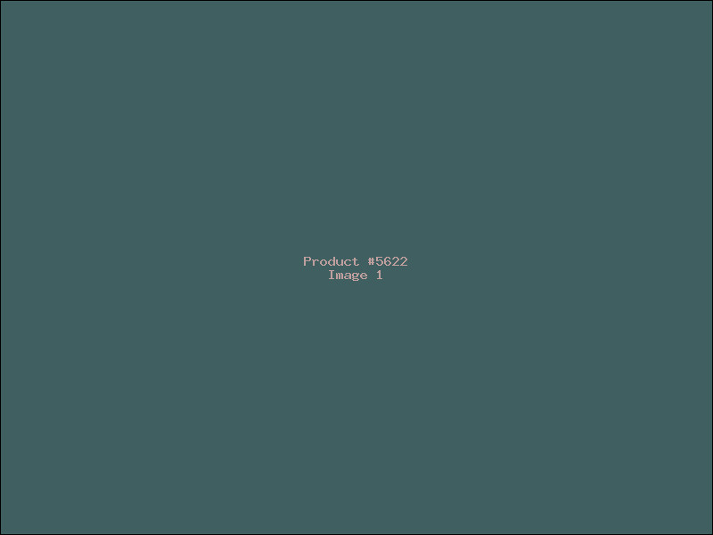 Example Product 5622