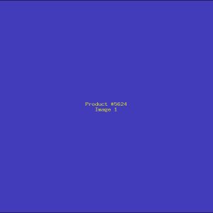 Example Product 5624