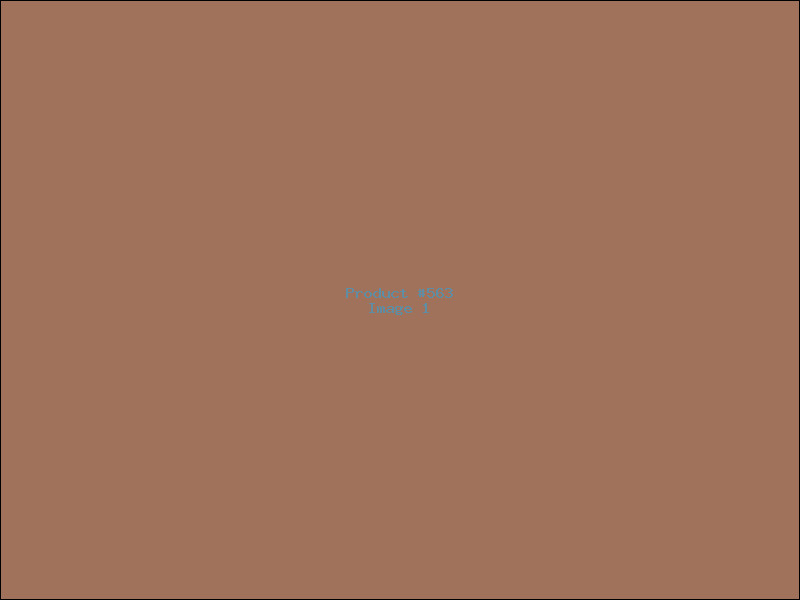 Example Product 563