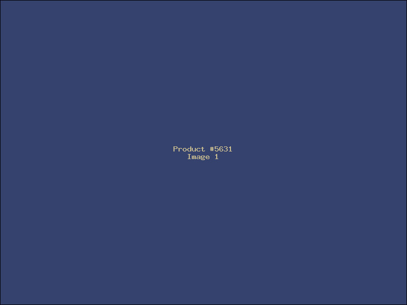 Example Product 5631