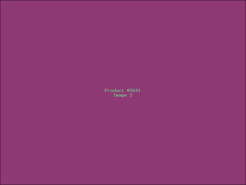 Example Product 5641 - Image 2