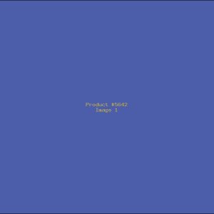 Example Product 5642
