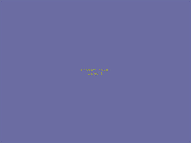 Example Product 5646