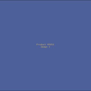 Example Product 5651