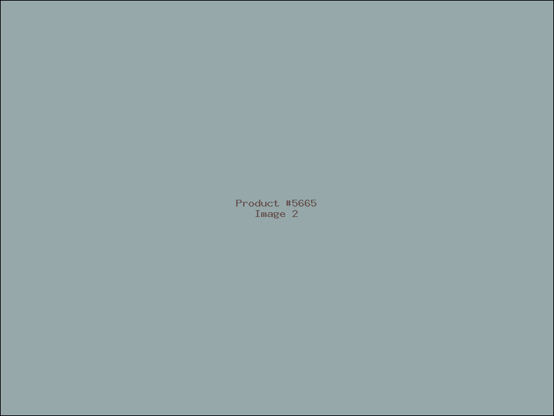Example Product 5665 - Image 2