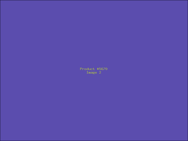 Example Product 5670 - Image 2