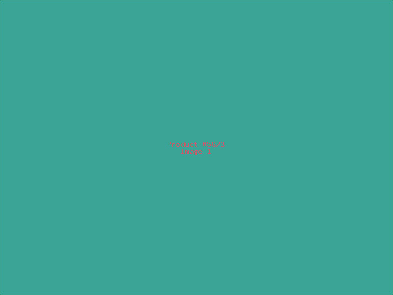 Example Product 5673