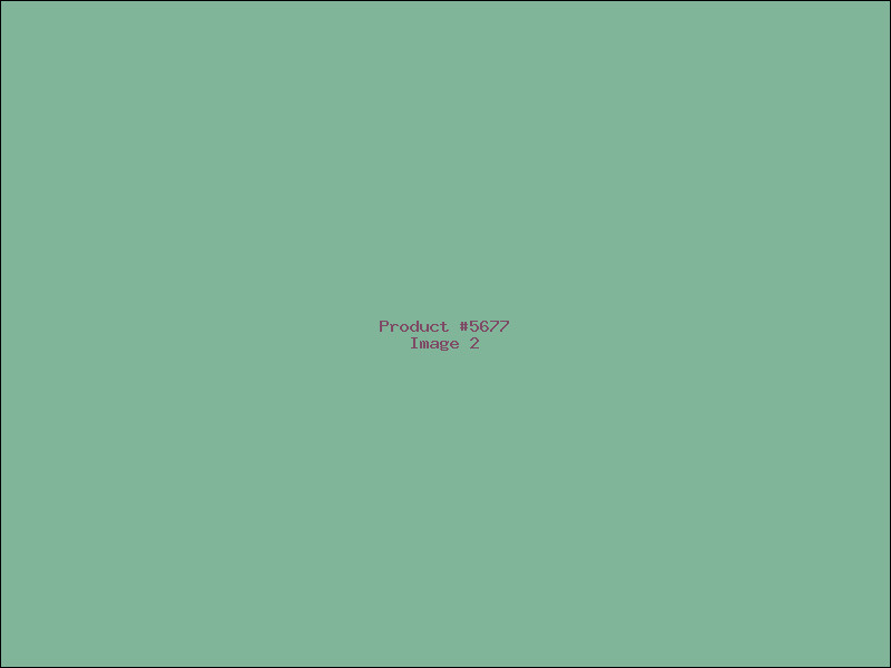 Example Product 5677 - Image 2