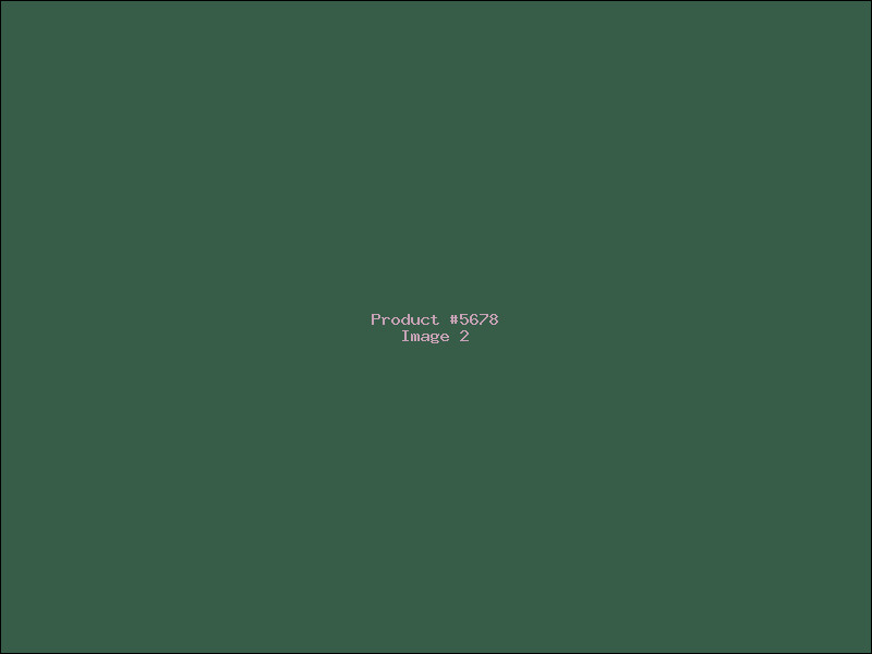 Example Product 5678 - Image 2