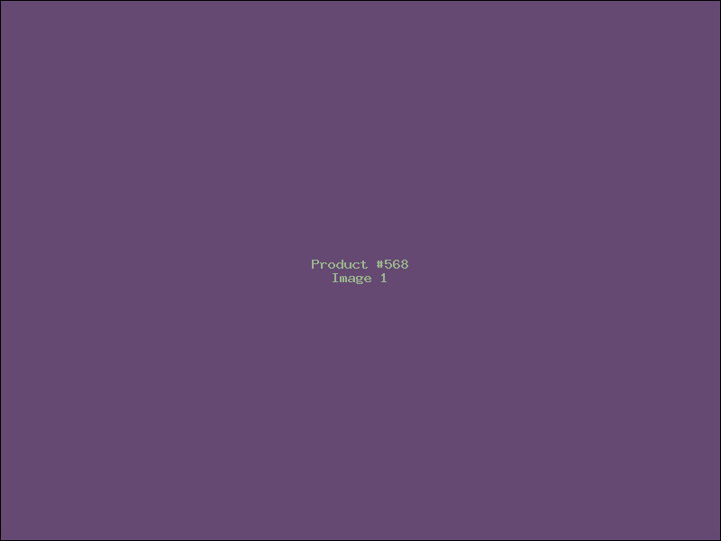 Example Product 568