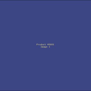 Example Product 5681